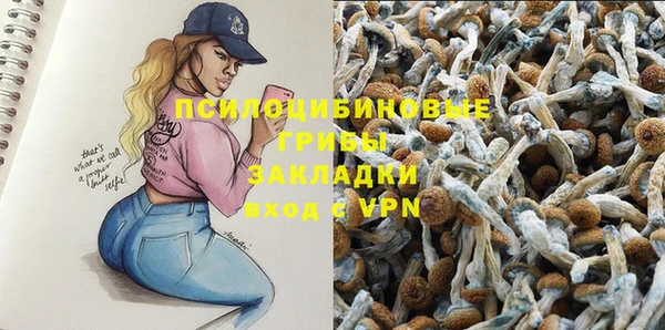 а пвп мука Богородск