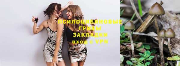 МДПВ Бронницы