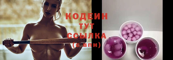 крисы Бугульма