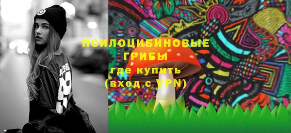 МДПВ Бронницы
