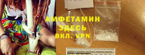 дмт Богданович