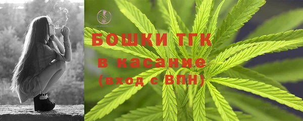 МДПВ Вяземский