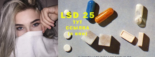 дмт Богданович