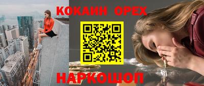 крисы Будённовск