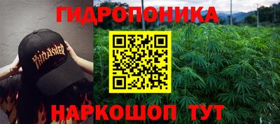 крисы Будённовск