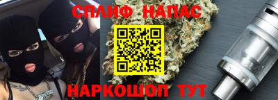 крисы Будённовск