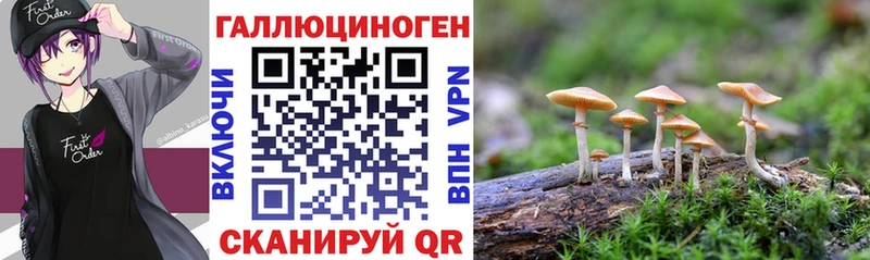Псилоцибиновые грибы ЛСД  Горячий Ключ 